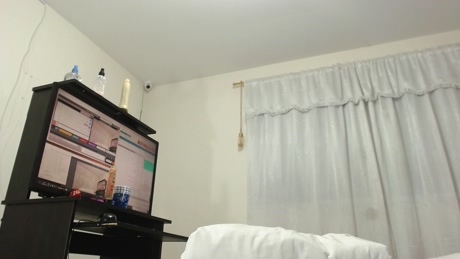 Vanefox  23-02-2022